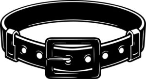 Military Belt