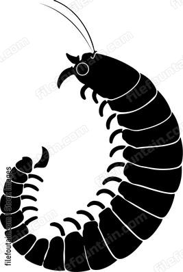 Millipede