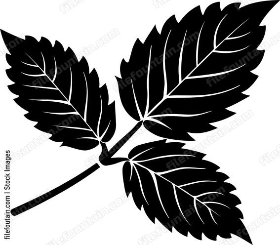 Mint Leaf