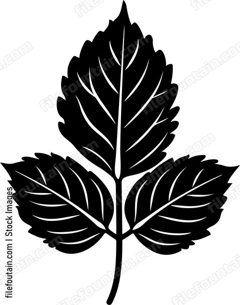 Mint Leaf