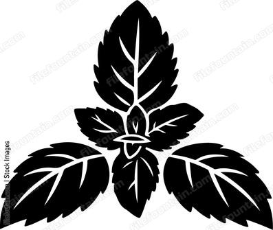 Mint Leaves