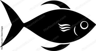 Molly Fish
