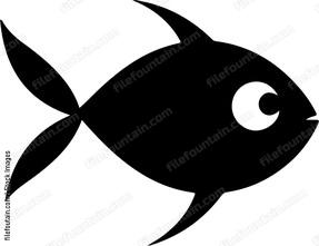Molly Fish