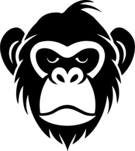 Monkey Chimp