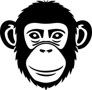 Monkey Chimp