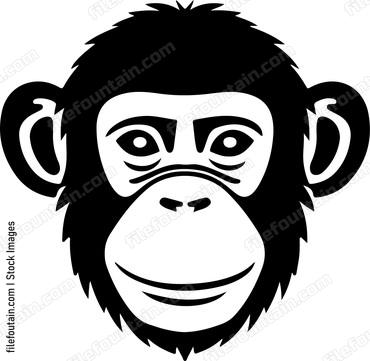 Monkey Chimp