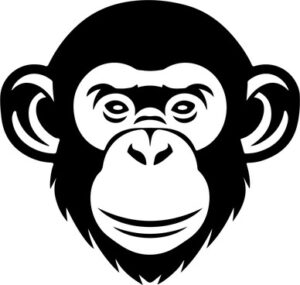 Monkey Chimp