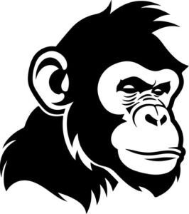Monkey Chimp