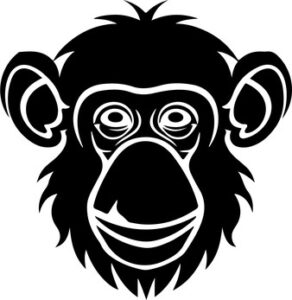 Monkey Chimp