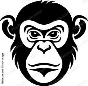Monkey Face
