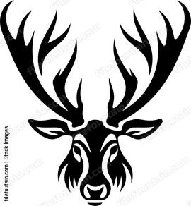 Moose