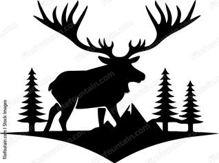 Moose