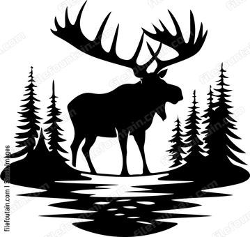 Moose Hunting