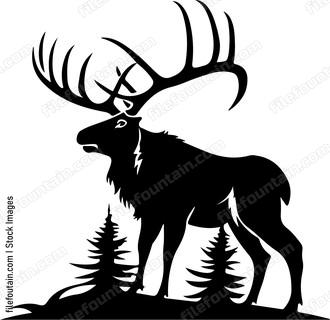 Moose Hunting