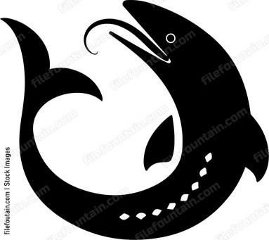 Moray Eel