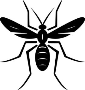 Mosquito