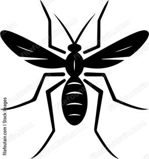 Mosquito
