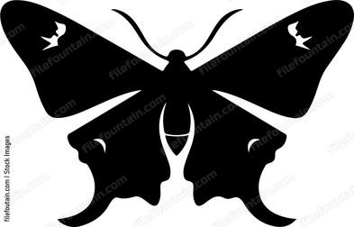 Moth