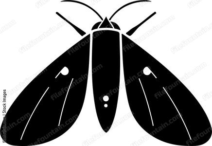 Moth Fly
