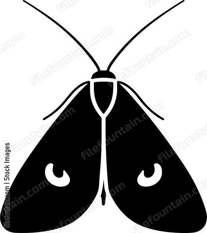 Moth Fly