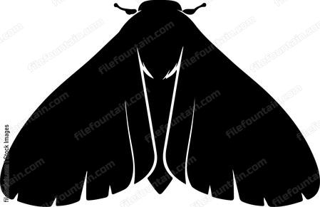 Moth Front