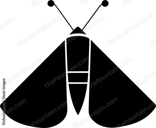 Moth Front