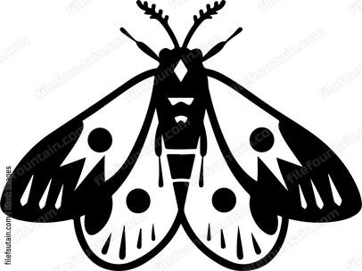 Mothpng