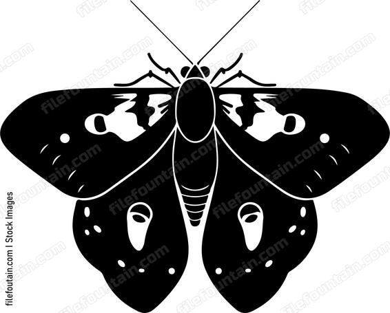 Mothpng
