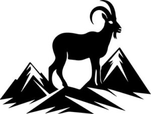 Mountain Goat
