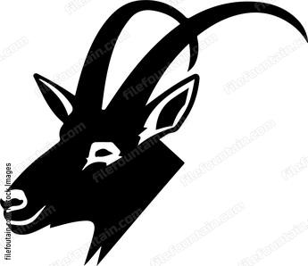 Mountain Goat