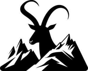 Mountain Goat