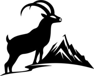 Mountain Goat