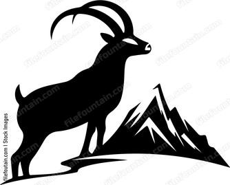 Mountain Goat
