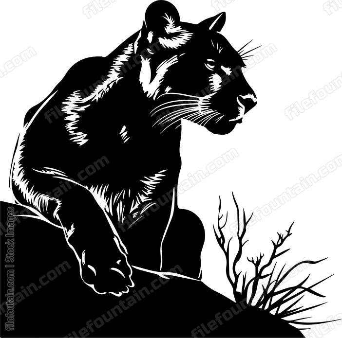 Mountain Lion