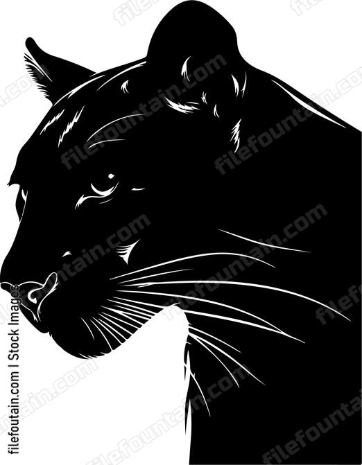 Mountain Lion