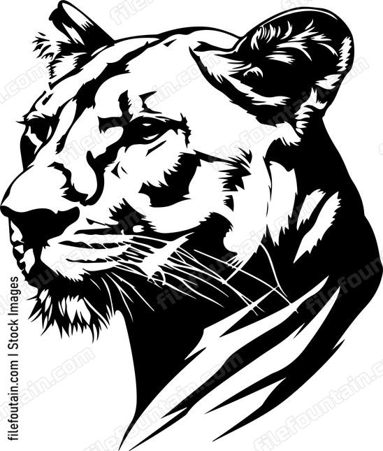 Mountain Lion