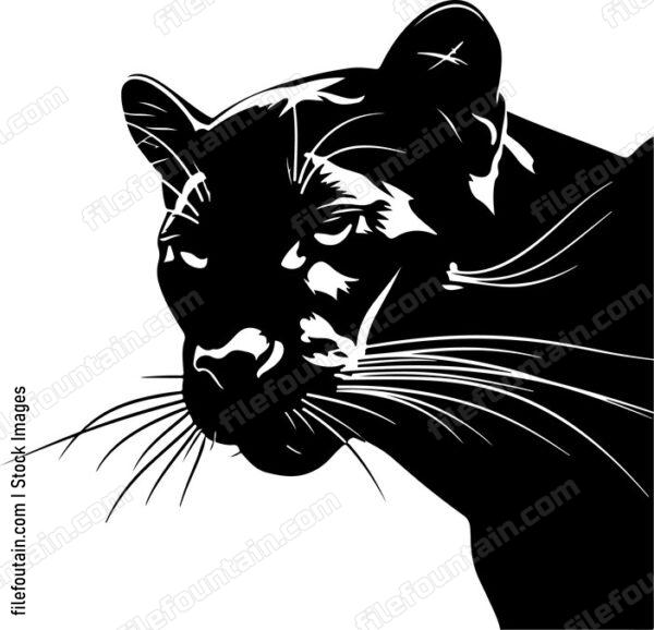 Mountain Lion