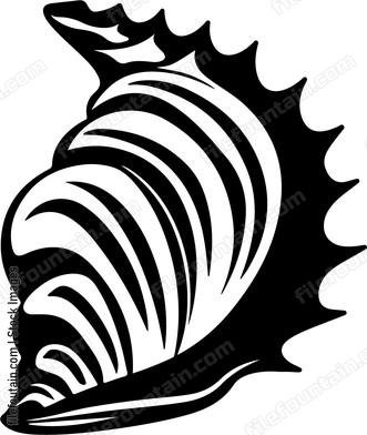 Murex Shell