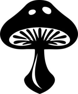 Mushroom Style