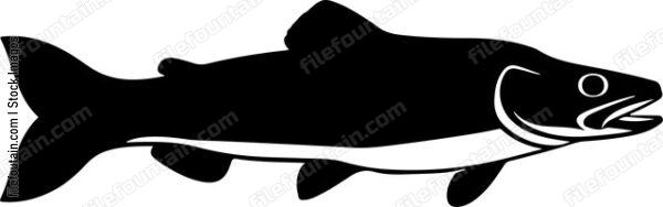 Muskellunge