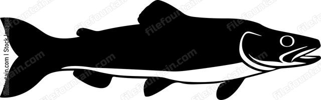 Muskellunge