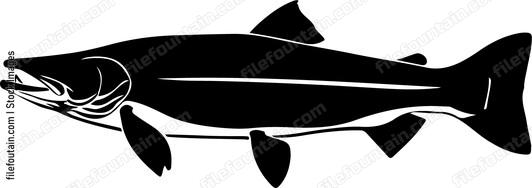 Muskellunge