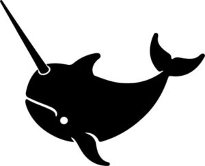 Narwhal