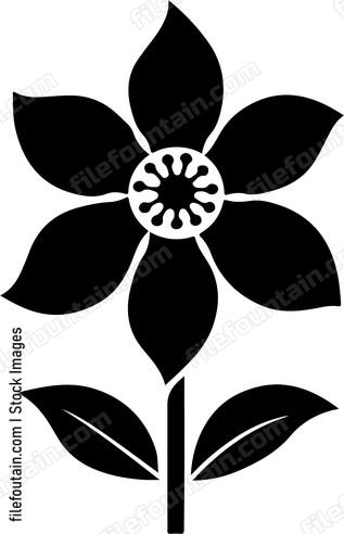 Nigella Flower