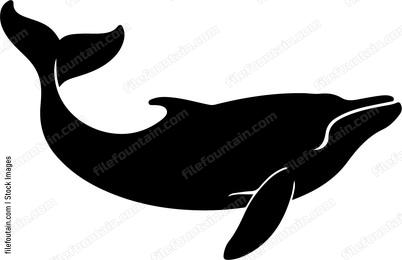 North Atlantic Right Whale