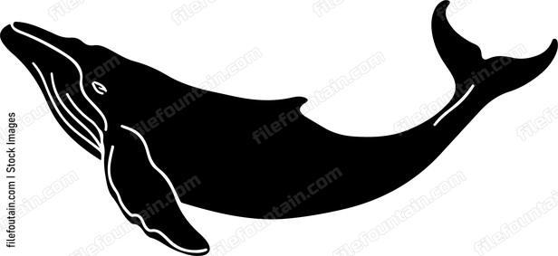 North Atlantic Whale