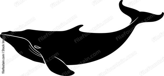 North Atlantic Whale