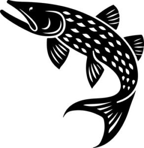 Northern Pike Fishing