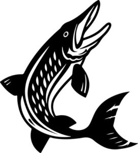 Northern Pike Fishing