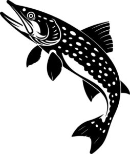 Northern Pike Fishing